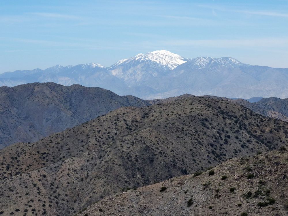 joshua tree national park (48).JPG
